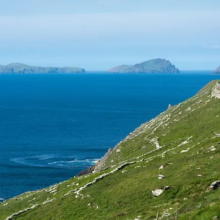 Atlantic Rest Dingle