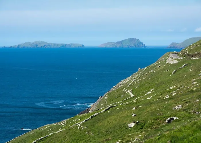 Atlantic Rest Dingle